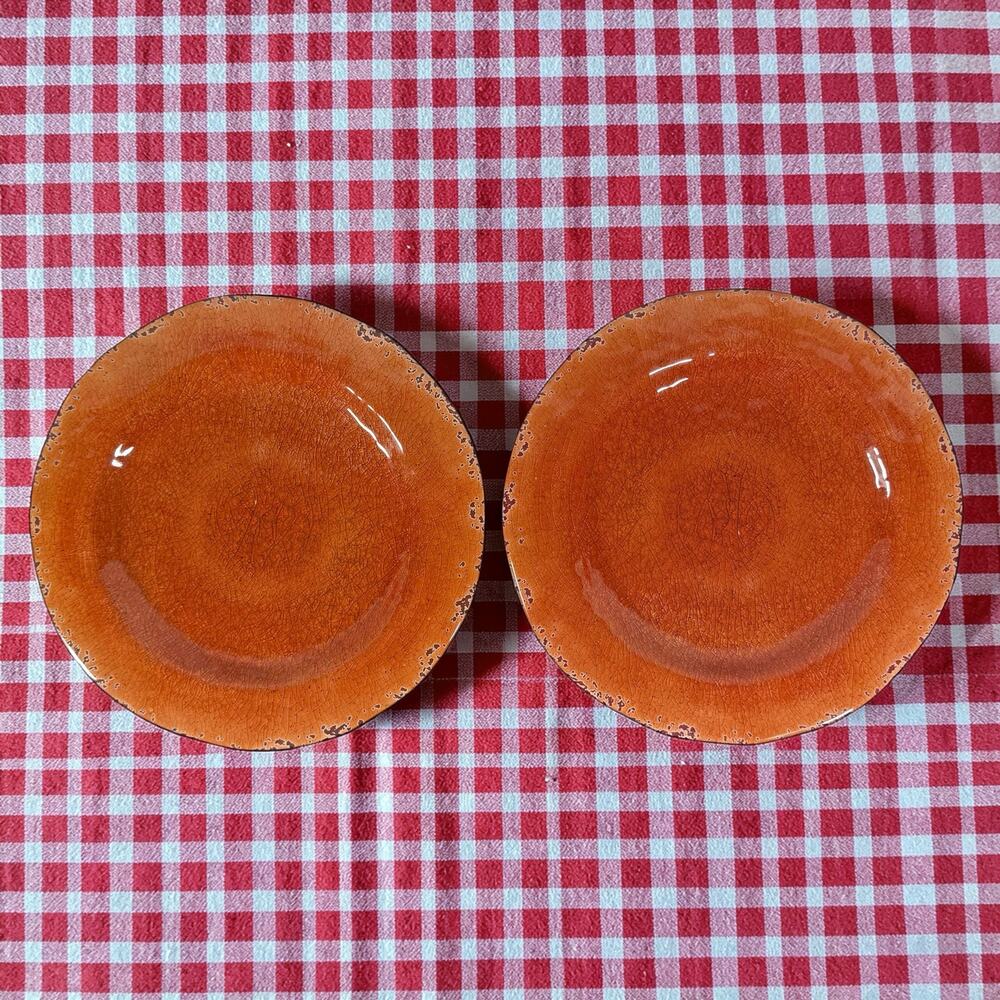 Pier 1 Imports Set of 2 Orange Carmelo Melamine Dinner Plates Crackle Finish